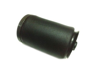 Пневматичний модуль підвіски 5045MP1