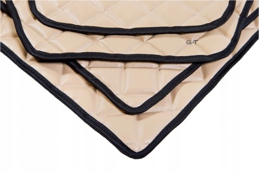 КИЛИМ СТЬОБАНІ КИЛИМКИ DAF XF 106 ВІД 2013 MANUAL