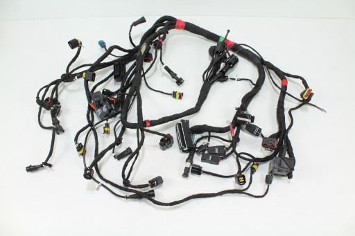 75549510468 - DUCATI HYPERSTRADA 939 16-18 ДЖГУТ ПРОВОДІВ УСТАНОВКА