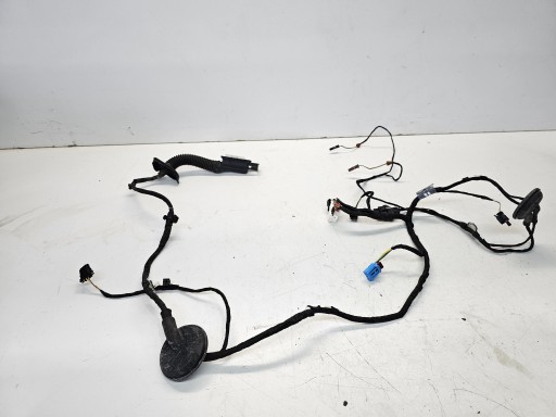 bundle door right front AUDI A4 B9 8W0971030BE