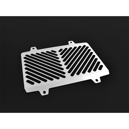 10004356 - РЕШІТКА РАДІАТОРА ZIEGER BMW G 310 R 2017-2019