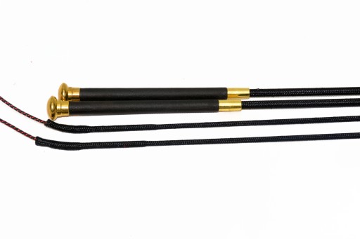 Виїздка йорка батога