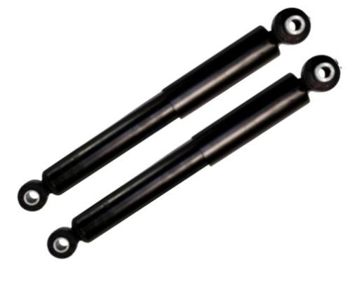 C00054.2 - Задні амортизатори Renault Megane і 1995-2003 задні
