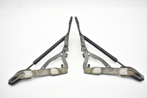 7304557 7304558 - Петля люка ліва права в зборі BMW F22 F23 M2 F87