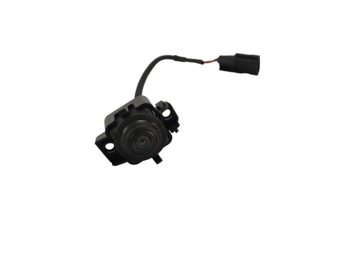 KAMERA außenspiegel DACIA DUSTER II LIFT (2021-2024) 284194659R
