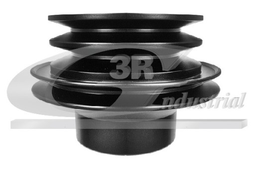 10507 - 3RG 10507/RGI ШКІВ ВАЛА