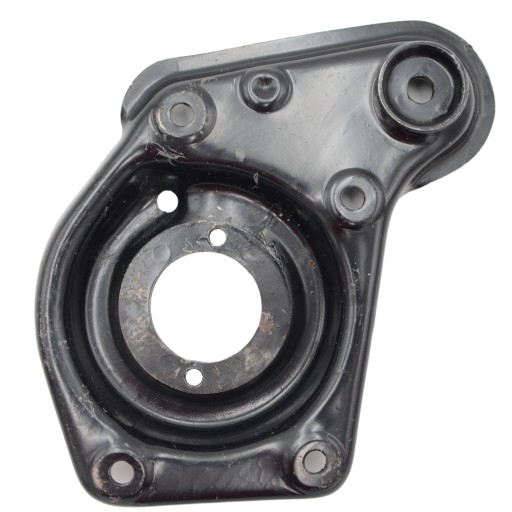 702-2902734 - Чаша родниковое гнездо жук ныса тарпан варшава