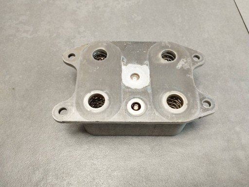 Skoda Octavia Mk4 Motor Ölkühler 04E117021K
