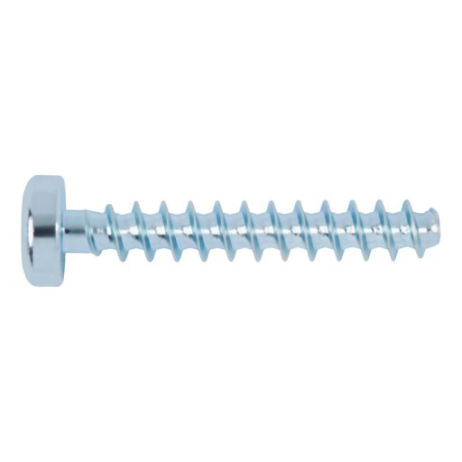 ГВИНТ WÜPLAST З ПЛОСКОЮ ГОЛОВКОЮ ТА НАКОНЕЧНИКОМ TX 8.2x18 2000 шт.