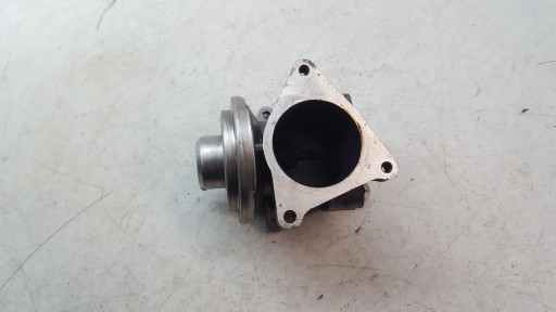 AGR-Ventil Seat Toledo II