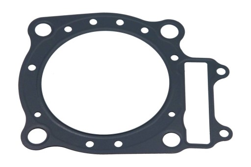 666B03189 - Двигун для HONDA CRE F 450 R 2005-2006