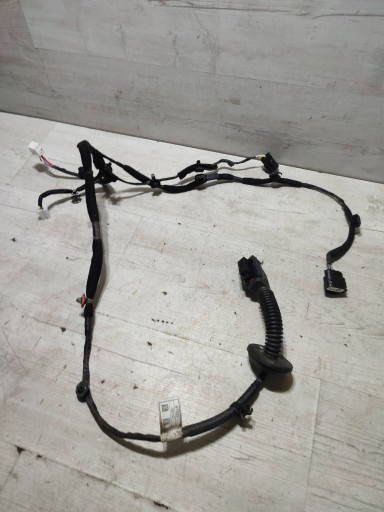Hyundai Kona and 2018 rear part side left bundle przewodow door tylnych