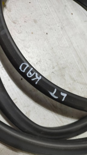 Renault Kadjar 17r 1.5dci rear part side left gasket door