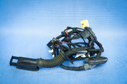 bundle electrical door Audi A5 S5 8T 8T8971029AT