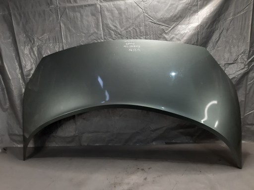 cofano RENAULT SCENIC II 2 TED97