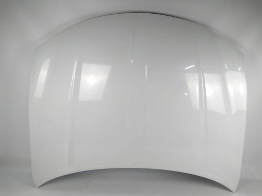 Dodge Charger 2015+ lift bonnet