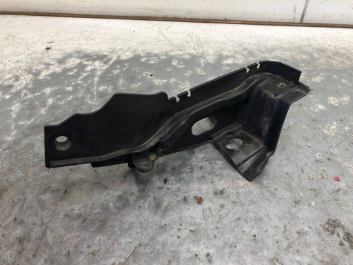 corner under the window left RENAULT MEGANE III 668630007R