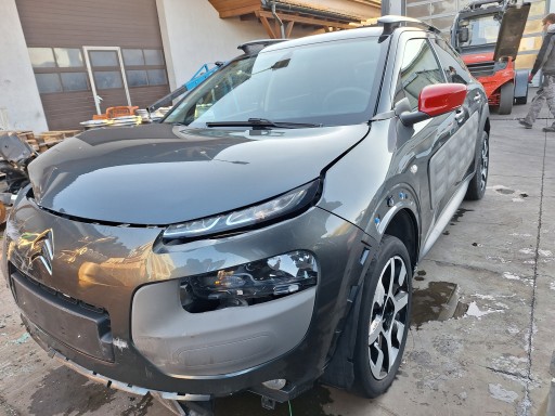 CITROEN C4 CACTUS TETTO VETRO FINESTRINO TETTO PANORAMA
