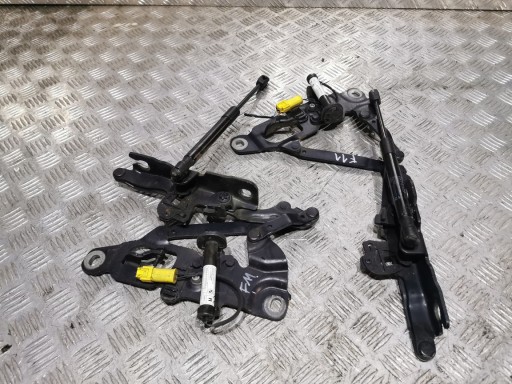 Петлі капота + картридж вантажі BMW F10 F11 оригінал