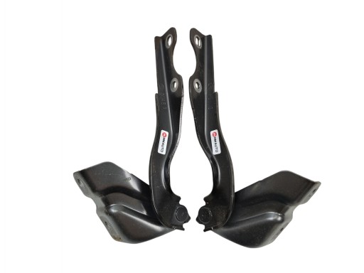 Cerniere Cerniera Destra sinistra KPL del cofano MAZDA MX-30 DN4ER DN4EL LAK: 46G