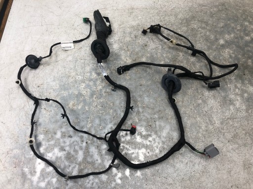 bundle door left front OPEL INSIGNIA B 39133655
