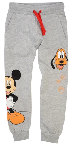 Спортивні штани EplusM 116 сірі