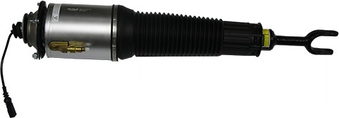 46160000101 - Воздушный амортизатор Vika