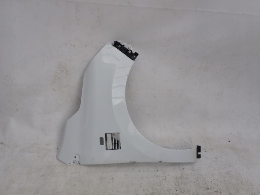 RENAULT EXPRESS 21- fender right front front