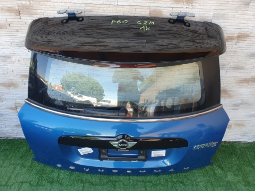 ШЛЯПА MINI F60 ЦВЕТ C2M