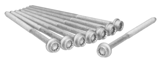 81036000 - Болты головки для VW FOX 10-