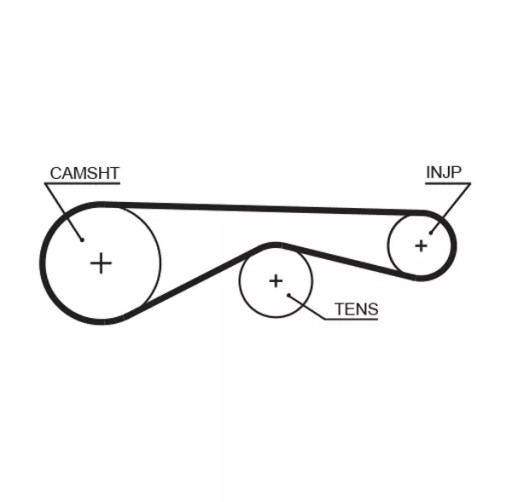 5677XS - Ремень ГРМ