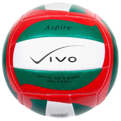Волейбол VIVO ASPIRE, 5 курс
