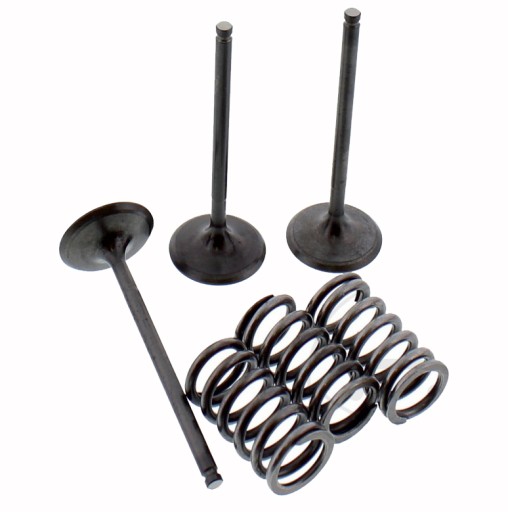 7470640 - ВСМОКТУЮЧИЙ КЛАПАН ПРУЖИННІ КЛАПАНИ YAMAHA YZ 450 03-09