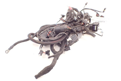 105270 - BMW K 1200 R ABS 2006r жгут проводов