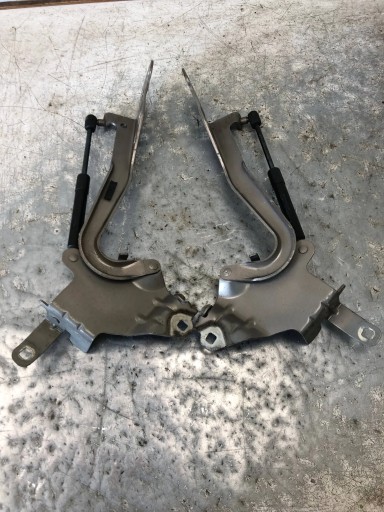 Cerniere cofano RENAULT SCENIC III TEHNK 654000004R 654010004R