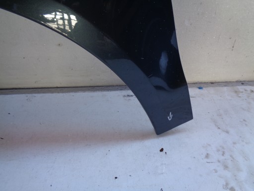 fender left front VW POLO 6Q 6Q0 05- LIFT NR 38183