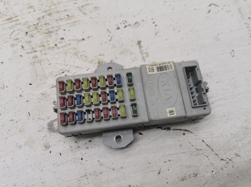 Kasten der Sicherungen KIA SORENTO und 91171-3E921