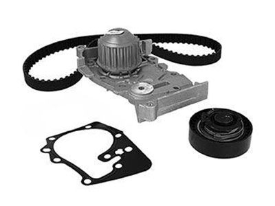 119A08413R - ОРИГИНАЛЬНЫЙ ГРМ 130C17480R + НАСОС 210101302R