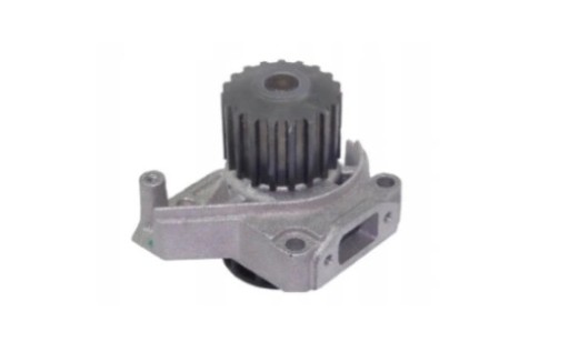 I020285 - Водяний Насос Lombardini Ligier Microcar