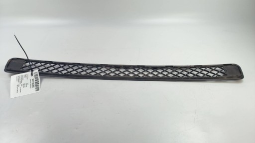 grid of a bumper central lower 53113-42030 TOYOTA RAV-4 III