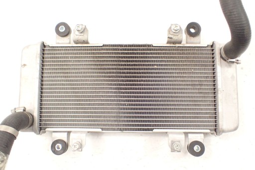 141027-1111 - Kawasaki Ninja 300 13-17 Радиатор