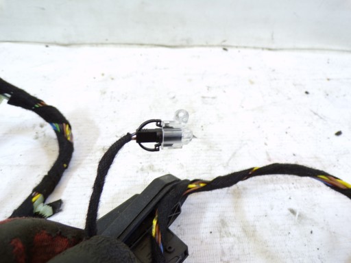 kabelbaum kabelsatz Tür links TYLNYCH links heck BMW X5 E53 8386011