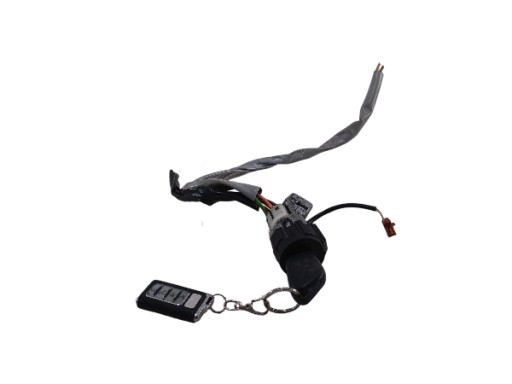 CITROEN BERLINGO and PEUGOET PARTNER and STAYJKA key 9663123280