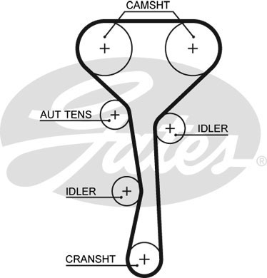 РЕМЕНЬ ГРМ GATES 5507XS
