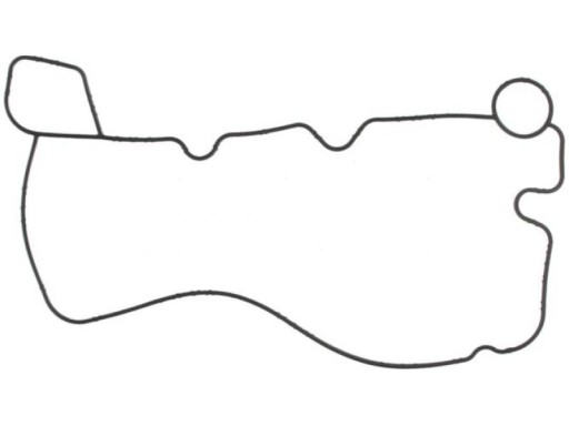 012.300 - Прокладка маслоохладителя Neoplan Trendliner