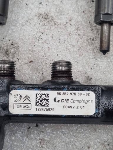 Zestaw Opilkowy Peugeot Citroen Volvo Ford 1.6 TDCI E-hdi 9802448680
