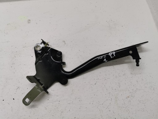 hinge bonnets right RENAULT SCENIC III 654000004R
