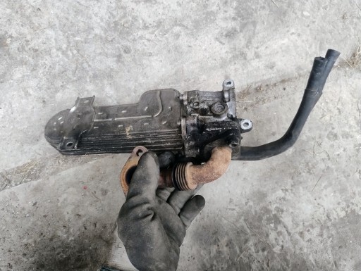 Radiatore / Raffreddatore EGR VW PASSAT B6 2.0 TDI 03G131513J