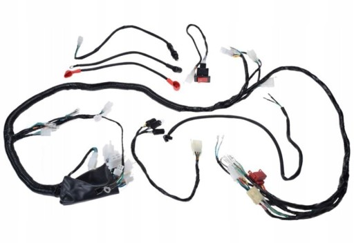 BS2501 - ЕЛЕКТРОПРОВОДКА ДЛЯ ATV BASHAN BS250S-5