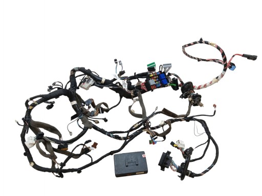 of the hose wiring bundle navigation devices RENAULT MEGANE III R-LINK